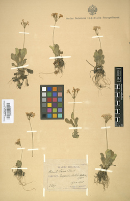 LE 01007816