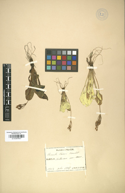 LE 01007817