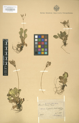 LE 01007819