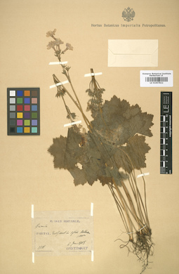 LE 01007822
