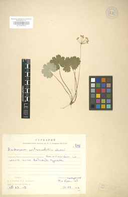 LE 01007823