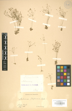 LE 01007825