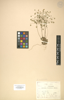 LE 01007828