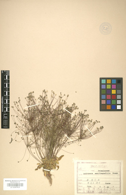 LE 01007829