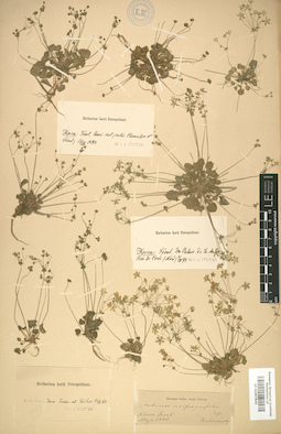 LE 01007830