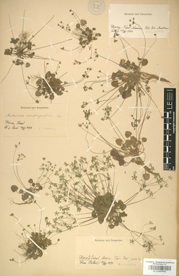 LE 01007832