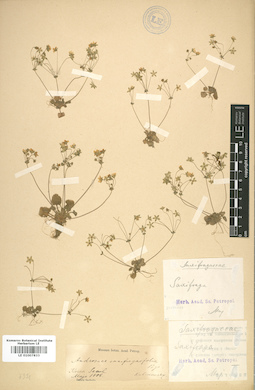LE 01007833