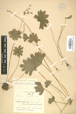 LE 01007834