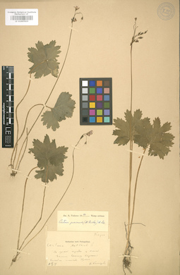 LE 01007835