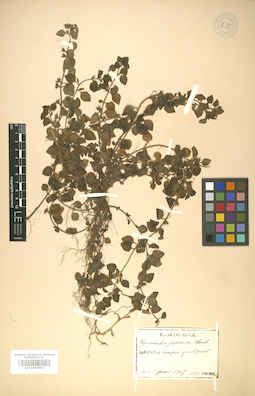 LE 01007862