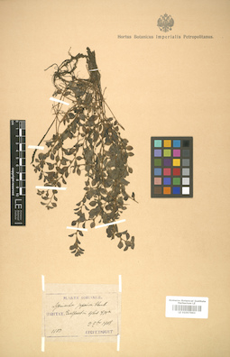 LE 01007863