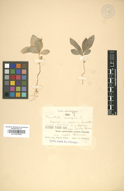 LE 01007869