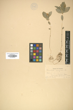 LE 01007870
