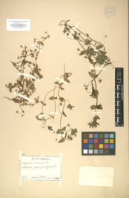 LE 01007872