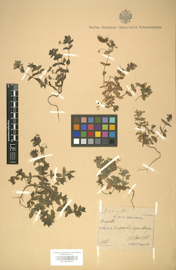LE 01007873