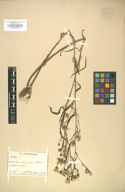 LE 01007874