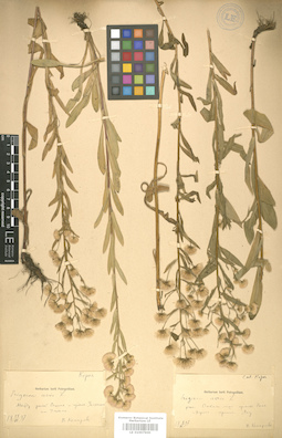 LE 01007900