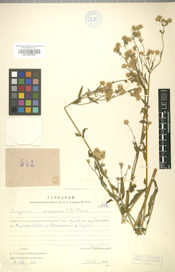 LE 01007901