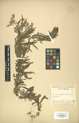 LE 01007911