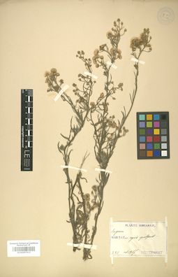 LE 01007912