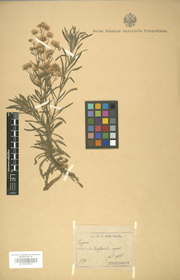 LE 01007913