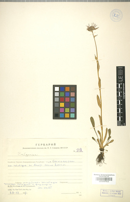 LE 01007914