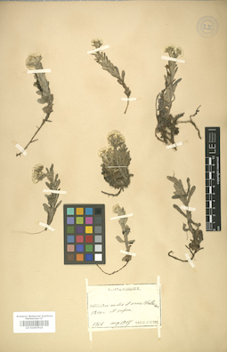 LE 01007919