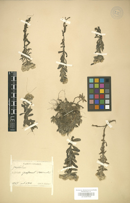 LE 01007920