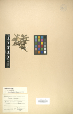 LE 01007921