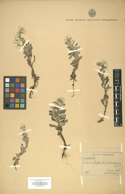 LE 01007922