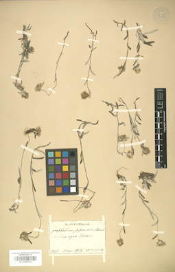 LE 01007924