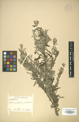 LE 01007928