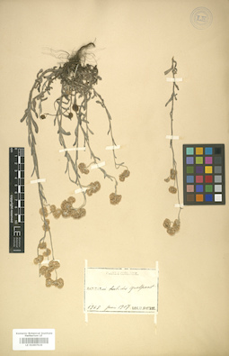 LE 01007929
