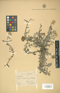 LE 01007930