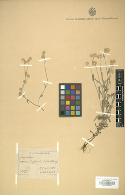 LE 01007931