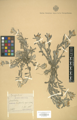 LE 01007932
