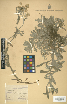 LE 01007933