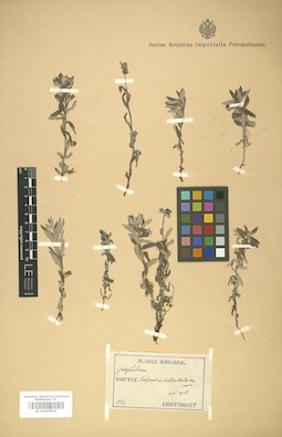 LE 01007934