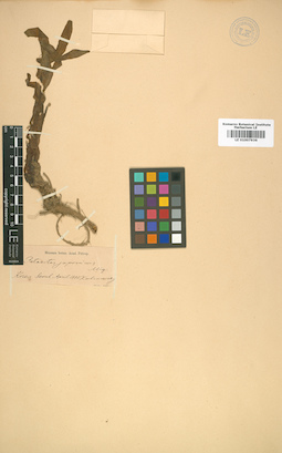 LE 01007936
