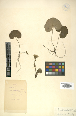 LE 01007937