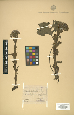 LE 01007938