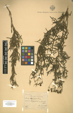 LE 01007962