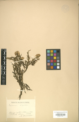 LE 01007964