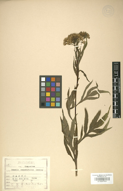 LE 01007966