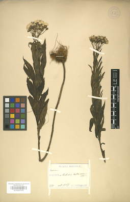 LE 01007978