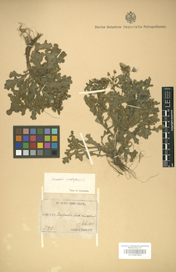 LE 01007983