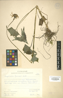 LE 01007992