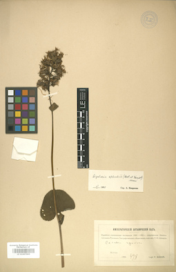LE 01007995