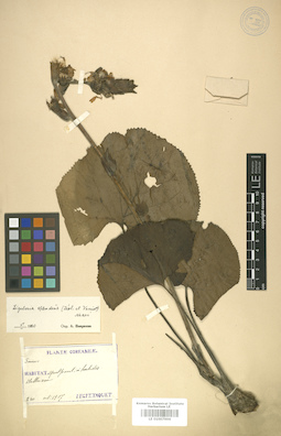 LE 01007996