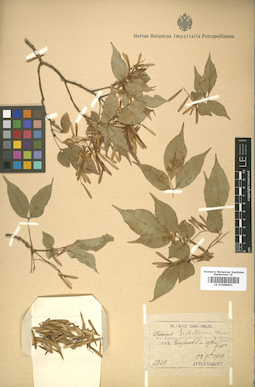 LE 01008001